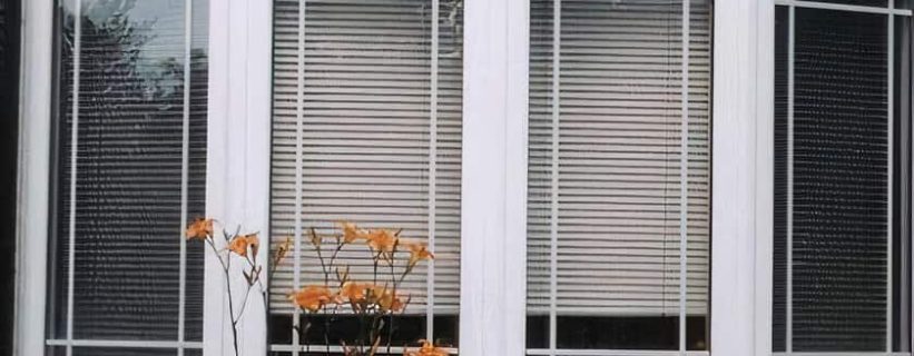 Windows Repaired at a client's house
