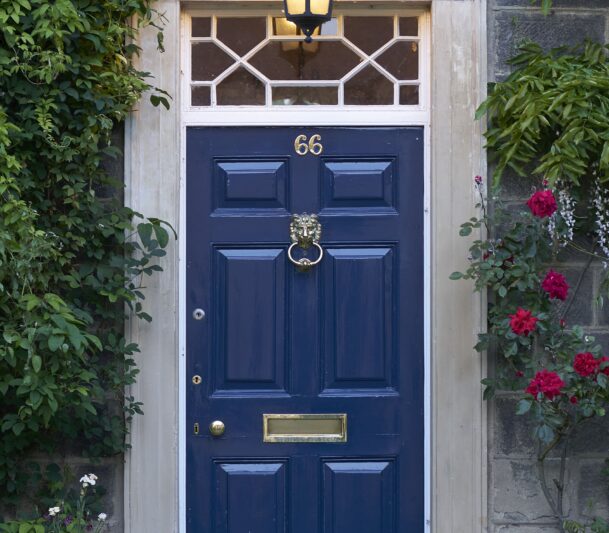 Cat sitting by blue front door after door installation htr