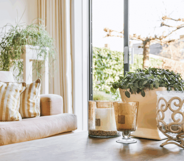 Cozy living room with plants and candles