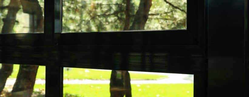 Why are black windows so popular