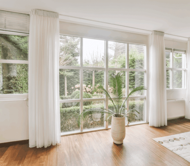 Bright room with large windows and plant